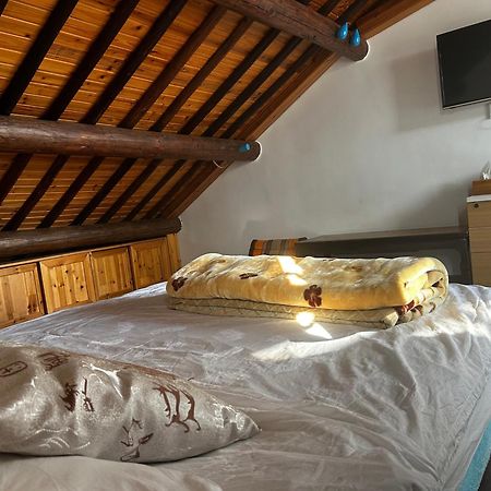 Begonia Flowers Guesthouse سوجو المظهر الخارجي الصورة